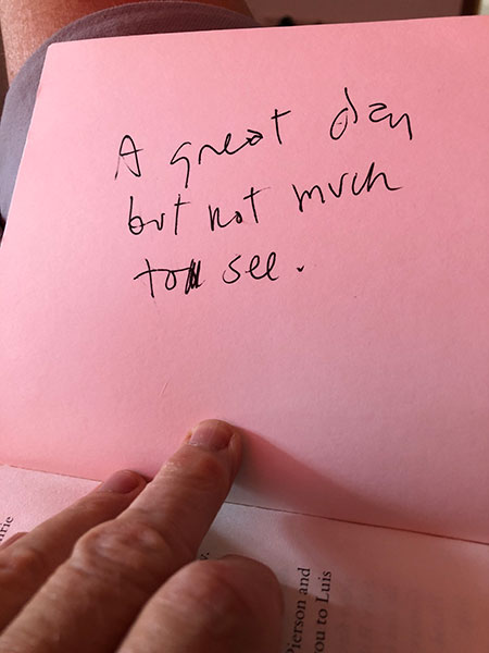 pink post-it with writing that reads: A great day but not much to see.